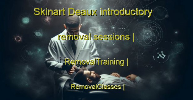 Skinart Deaux introductory removal sessions | RemovalTraining | RemovalClasses | SkinartTraining-France